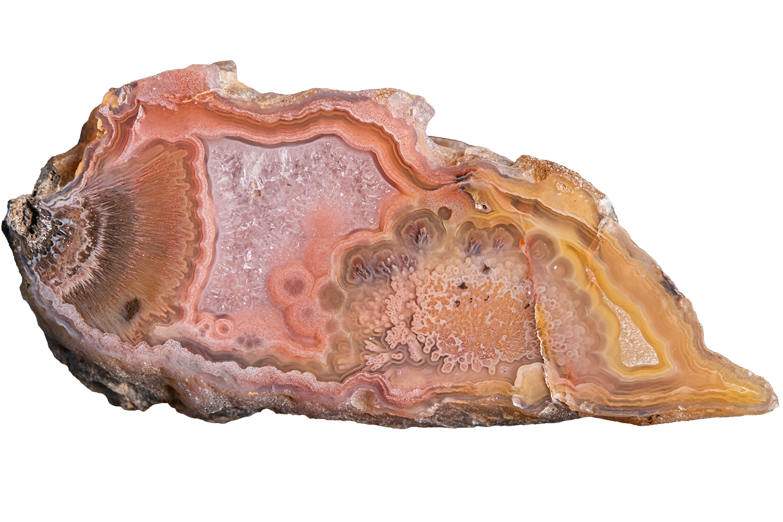 A polished slice of agate or banded stone with concentric bands of pink, peach, orange, cream, and brown, shown on a plain white background.
