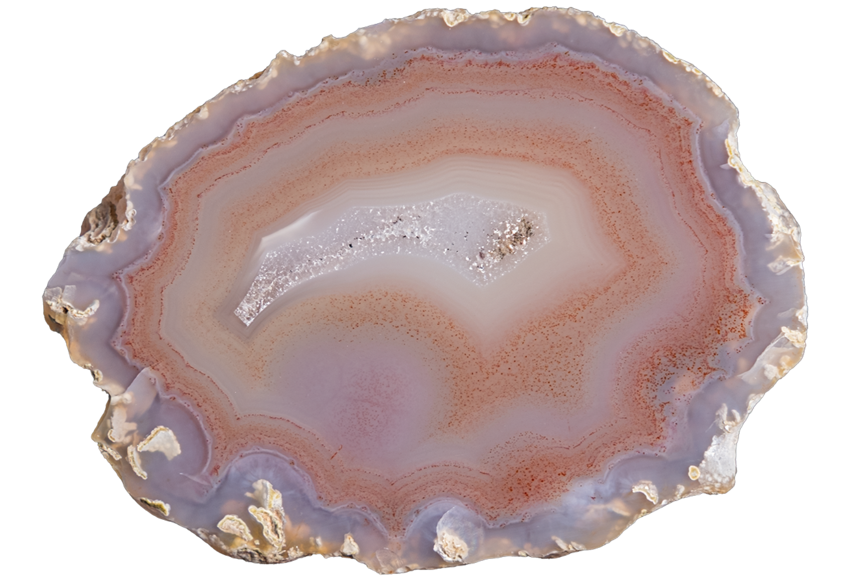 A polished slice of agate or jasper stone with concentric bands of lavender purple, dusty rose, cream, and pale blue on a plain white background.