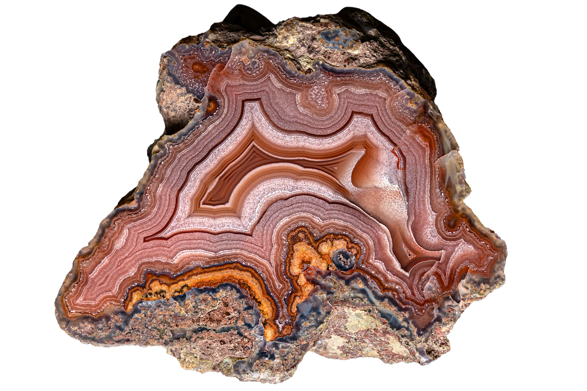 A polished slice of agate stone showing concentric bands of brown, orange, red, and cream, with a rough textured outer matrix, isolated on a white background.