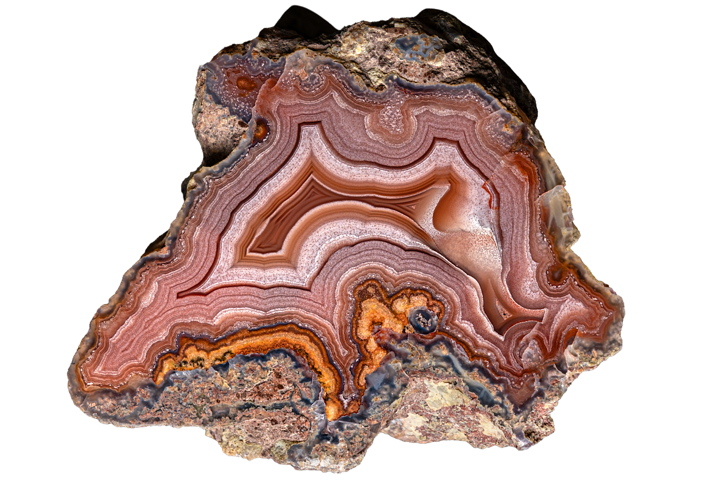 A polished slice of agate stone showing concentric bands of brown, orange, red, and cream, with a rough textured outer matrix, isolated on a white background.