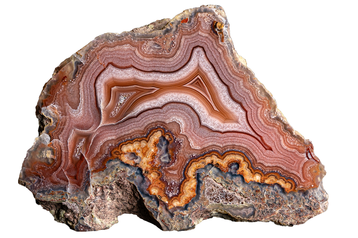 A polished slice of agate or banded stone with concentric bands of brown, orange, pink, cream, and gray, shown on a plain white background.
