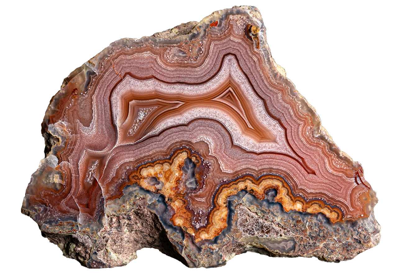 A polished slice of agate or banded stone with concentric bands of brown, orange, pink, cream, and gray, shown on a plain white background.