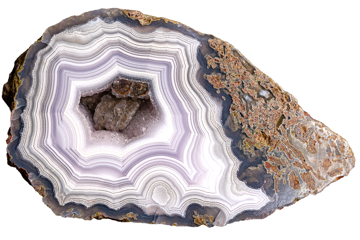 A polished slice of agate geode showing concentric band patterns in white, lavender, gray, and dark charcoal, with a rough crystalline cavity in the center and a brown matrix around the edges, isolated on a white background.