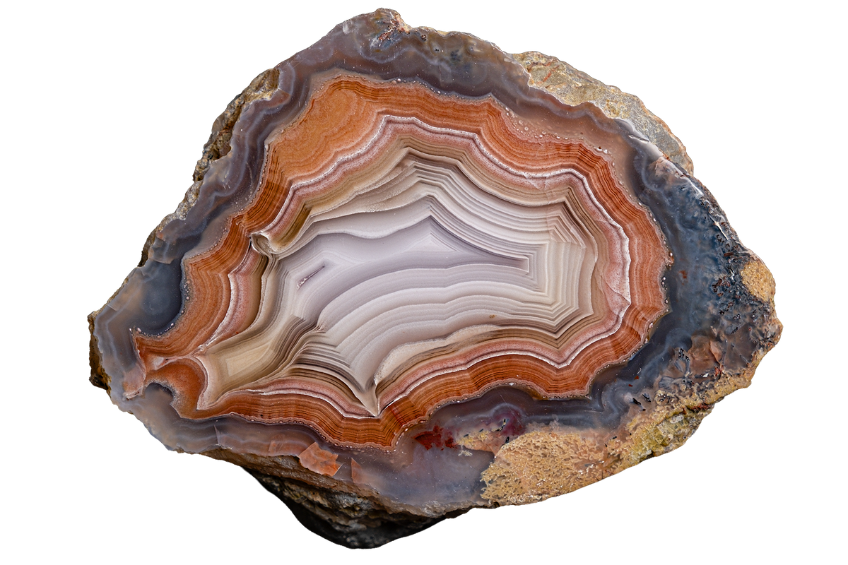 A polished slice of agate or banded stone with concentric bands of orange, brown, cream, gray, and dark charcoal, shown on a plain white background.