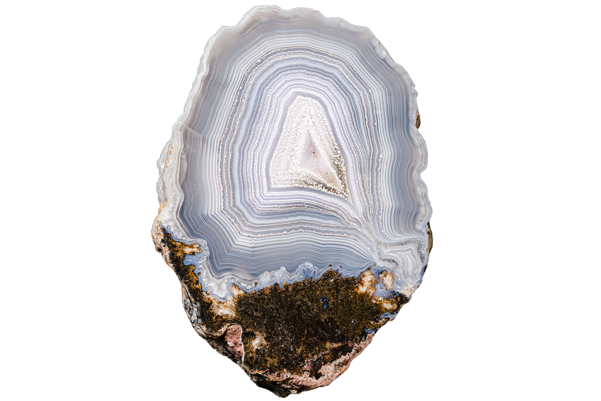 A polished slice of agate geode showing concentric banding in shades of white, light blue, and gray, with a rough, earthy brown and dark textured base, isolated on a white background.