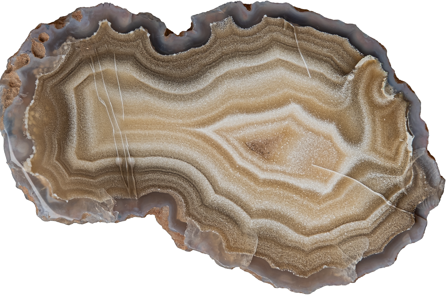 A polished slice of agate or banded stone with concentric layers in beige, tan, brown, gray, and off-white, shown on a plain white background.