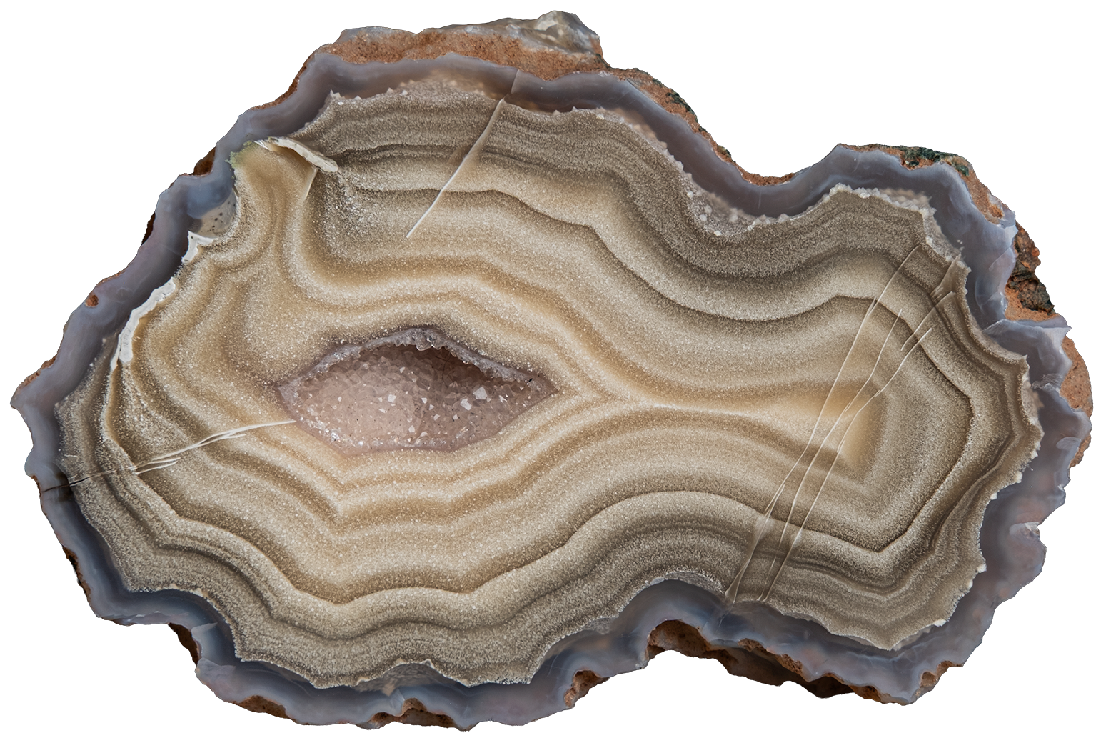 A polished cross-section of agate geode showing concentric bands of beige, gray, and brown with a small central druzy cavity, isolated on a white background.