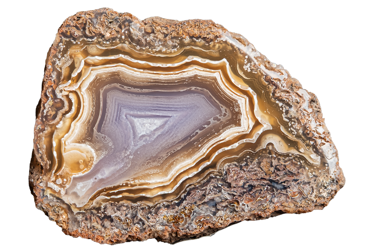 A polished agate stone slice with concentric bands of brown, tan, cream, and lavender-gray, set against a solid white background.
