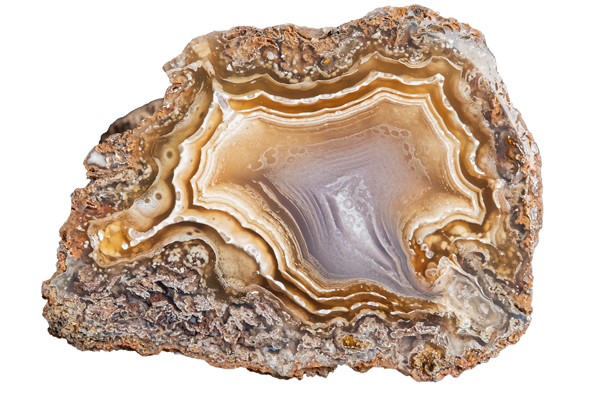 A polished slice of agate geode showing concentric bands of brown, tan, cream, and pale lavender-gray, set against a solid white background.