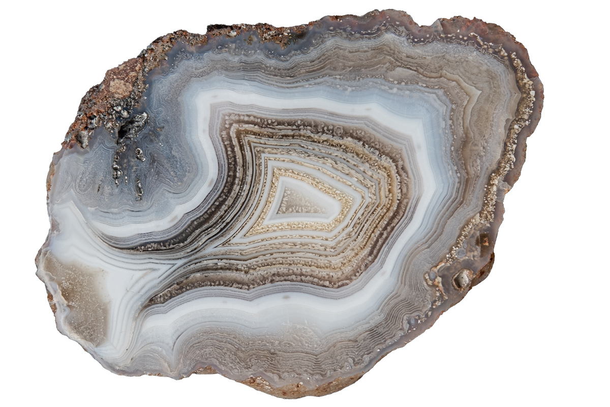 A polished slice of agate or jasper stone with concentric banding in gray, white, beige, brown, and muted blue-gray, shown on a plain white background.