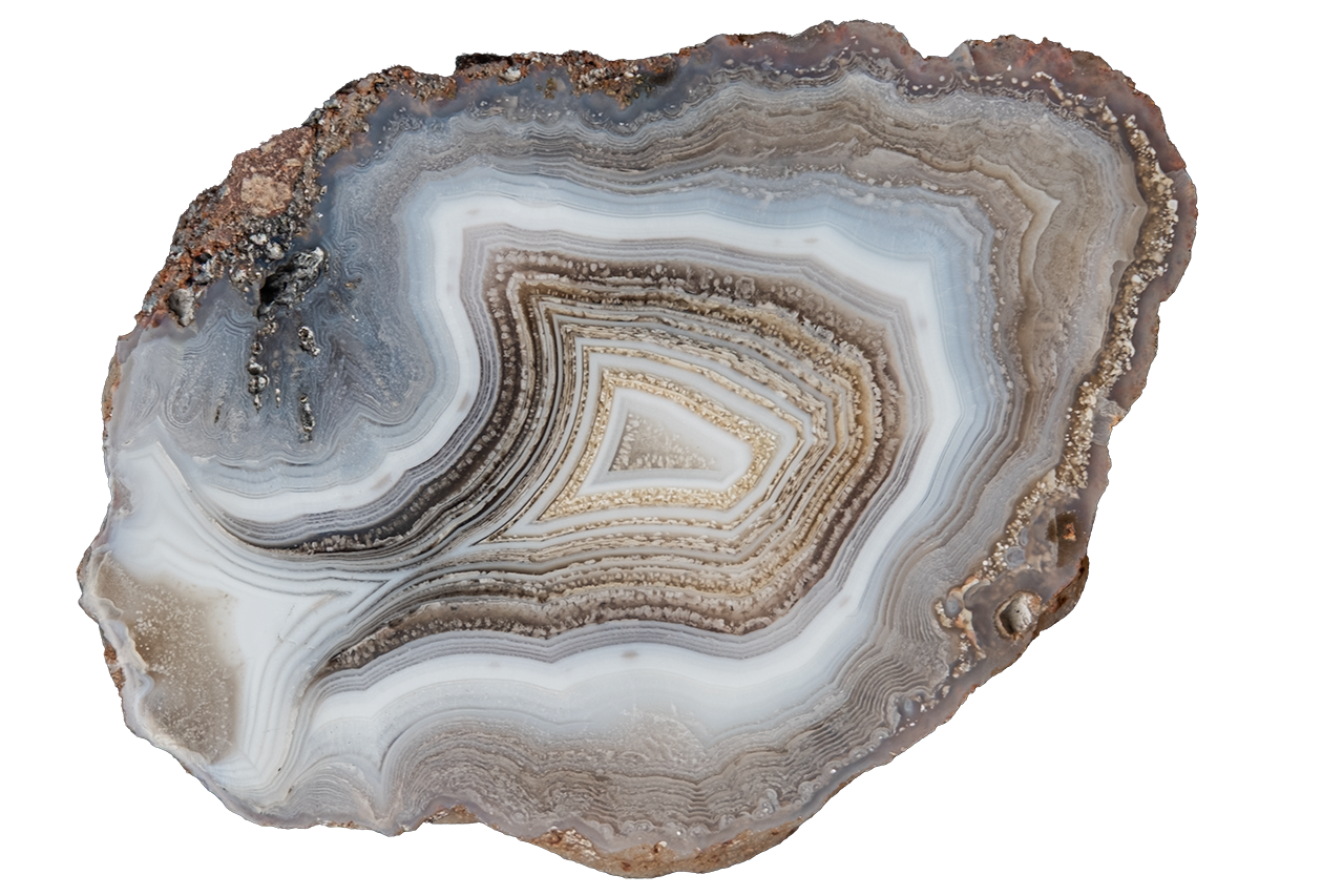 A polished slice of agate or jasper stone with concentric banding in gray, white, beige, brown, and muted blue-gray, shown on a plain white background.