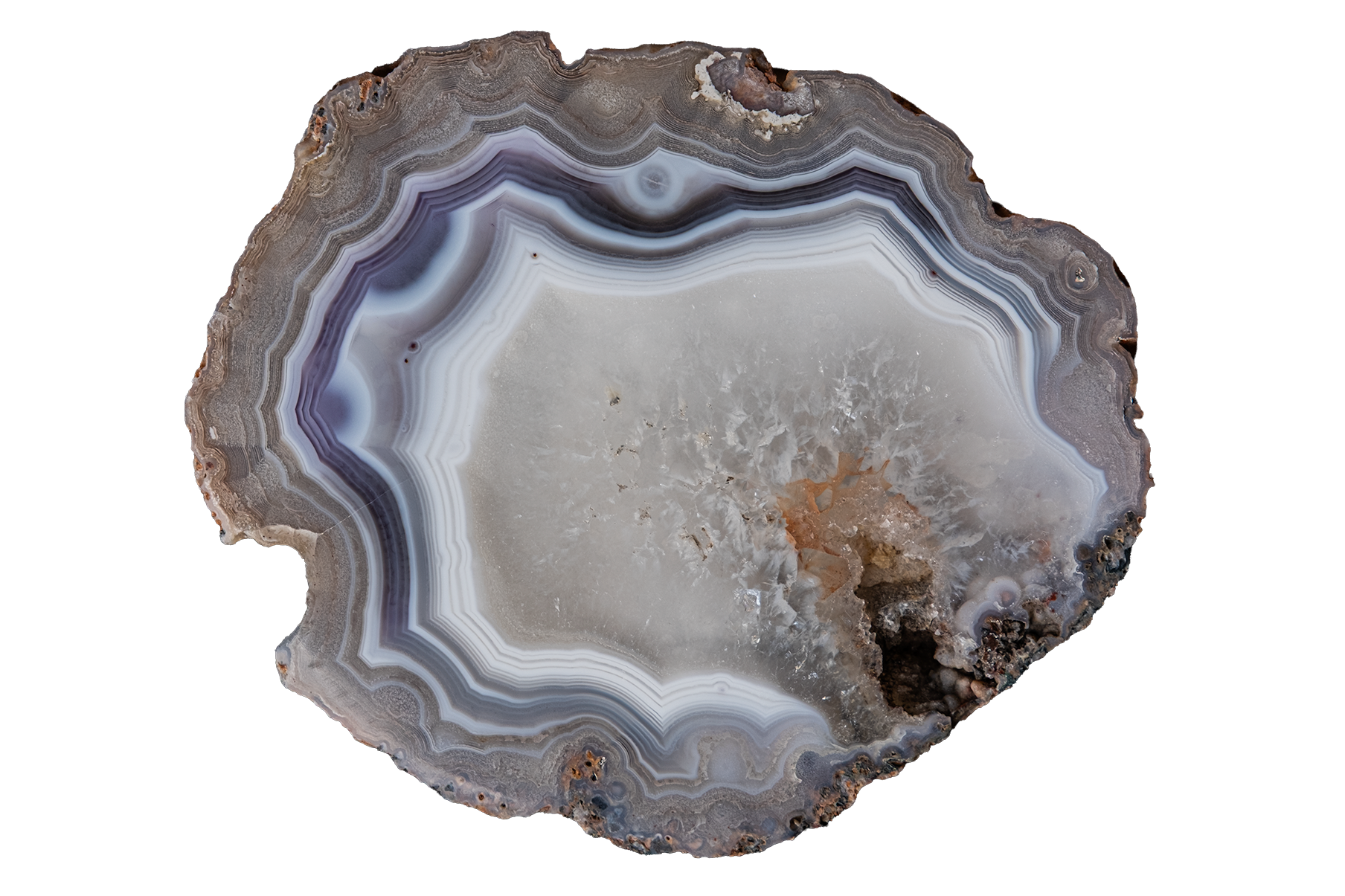 A polished slice of agate or jasper stone with concentric bands of white, gray, lavender-purple, and dark gray, with a rough natural edge and small brown areas, isolated on a white background.