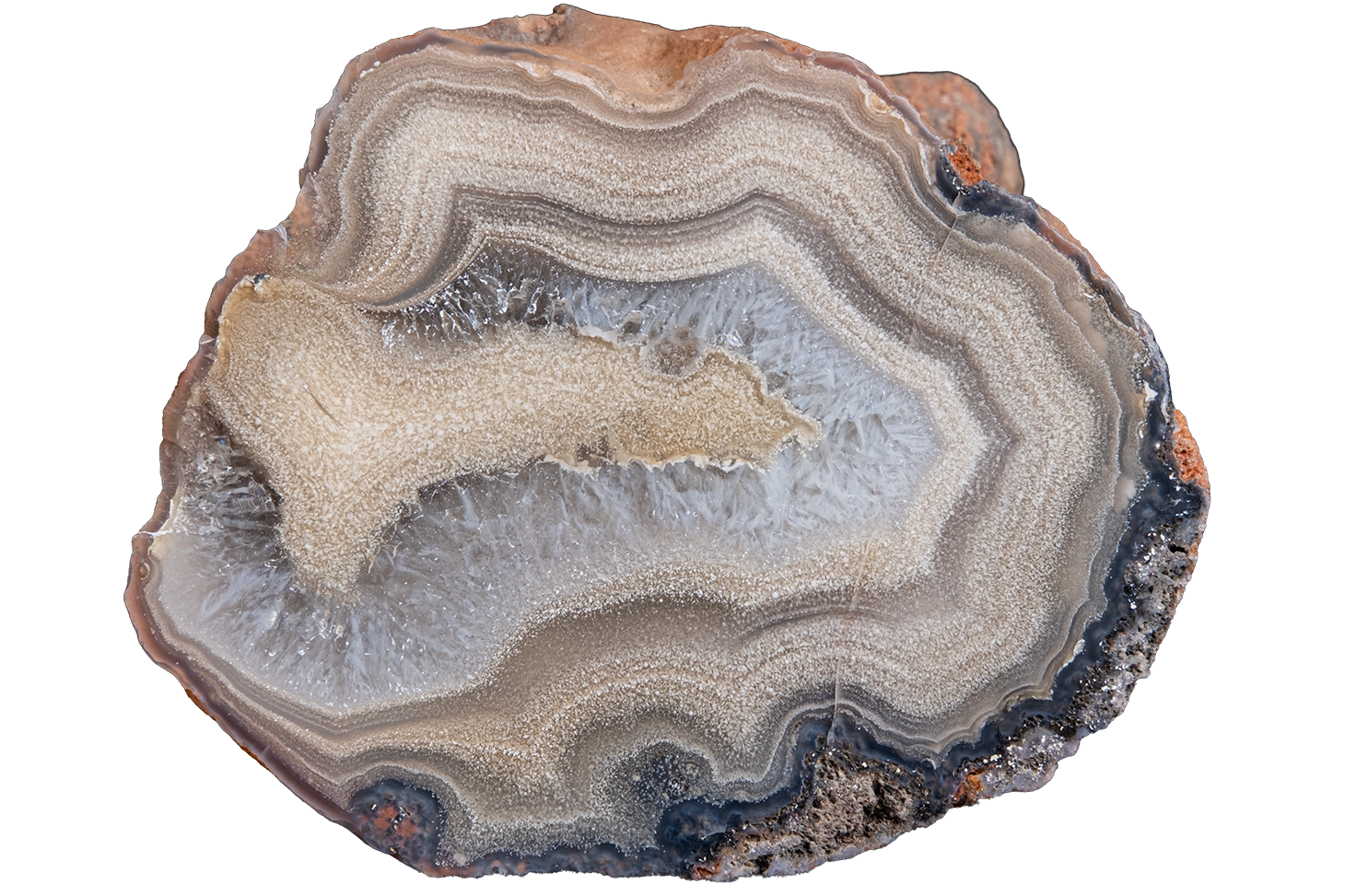 A polished slice of agate or banded stone with concentric bands of cream, beige, gray, brown, and dark charcoal, shown on a plain white background.