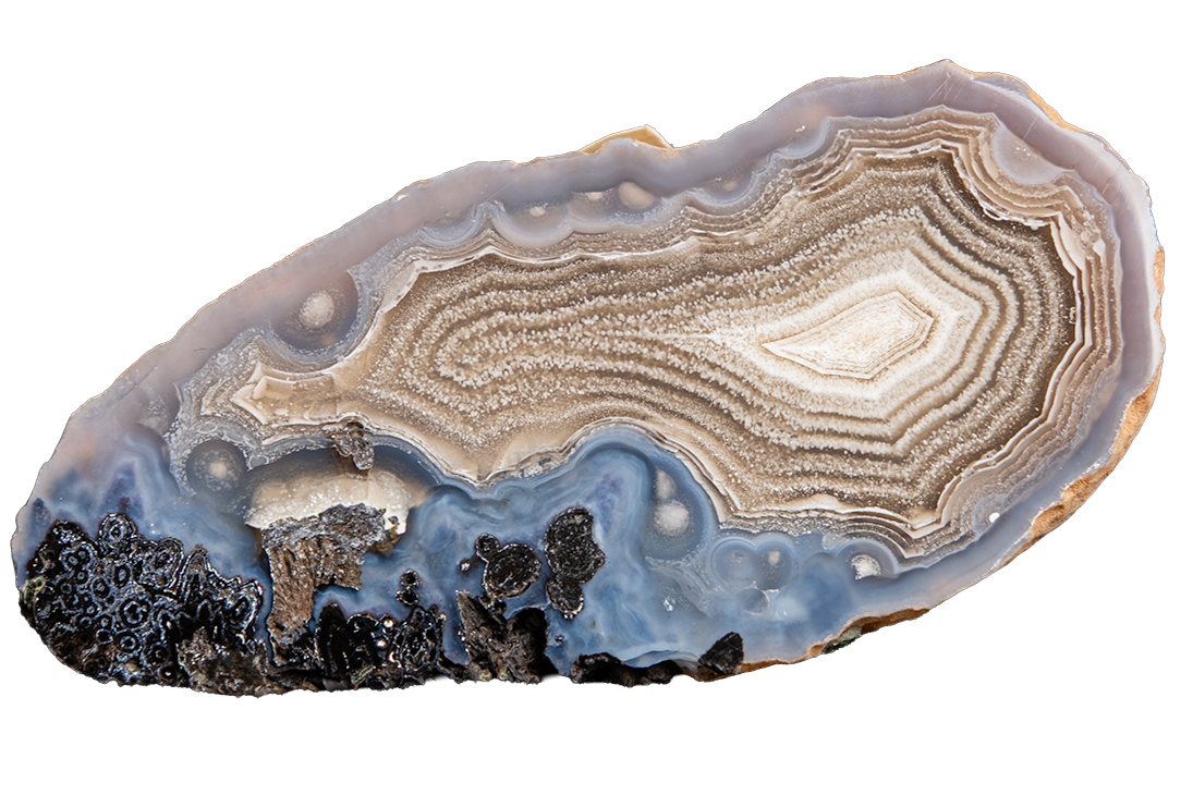 A polished slice of agate stone with concentric bands of cream, beige, gray, and light blue, accented by dark metallic mineral formations at the bottom left, isolated on a white background.