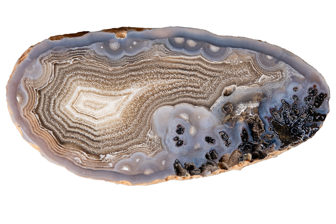 A polished slice of agate stone with concentric banding in gray, beige, white, and subtle lavender tones, shown on a plain white background.