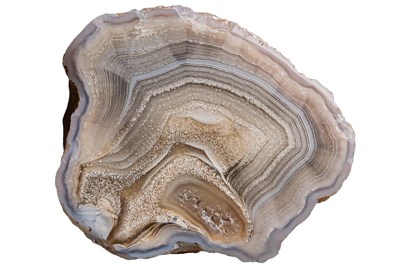 A polished slice of agate or jasper stone showing concentric banding in beige, tan, gray, and muted blue-gray tones, isolated on a white background.