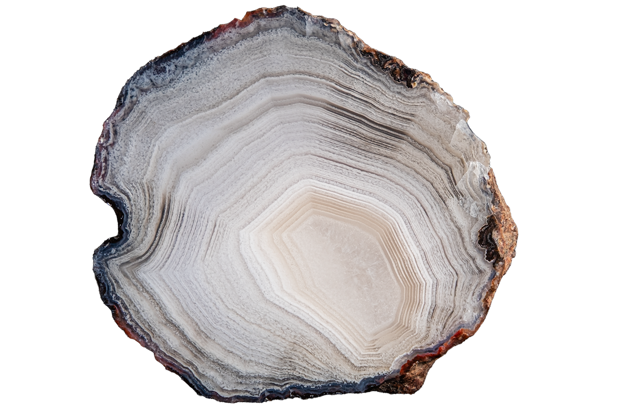 A cross-section of a natural agate stone slice, showcasing concentric bands of cream, gray, and dark brown, isolated on a solid white background.