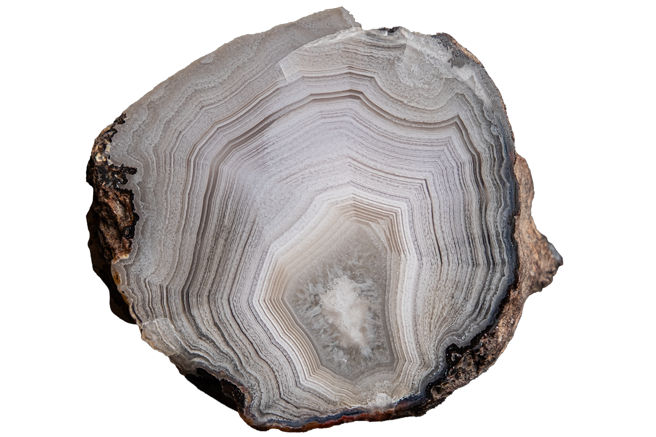 A polished cross-section of an agate geode slice, displaying concentric band patterns in shades of gray, white, and brown, isolated on a solid white background.