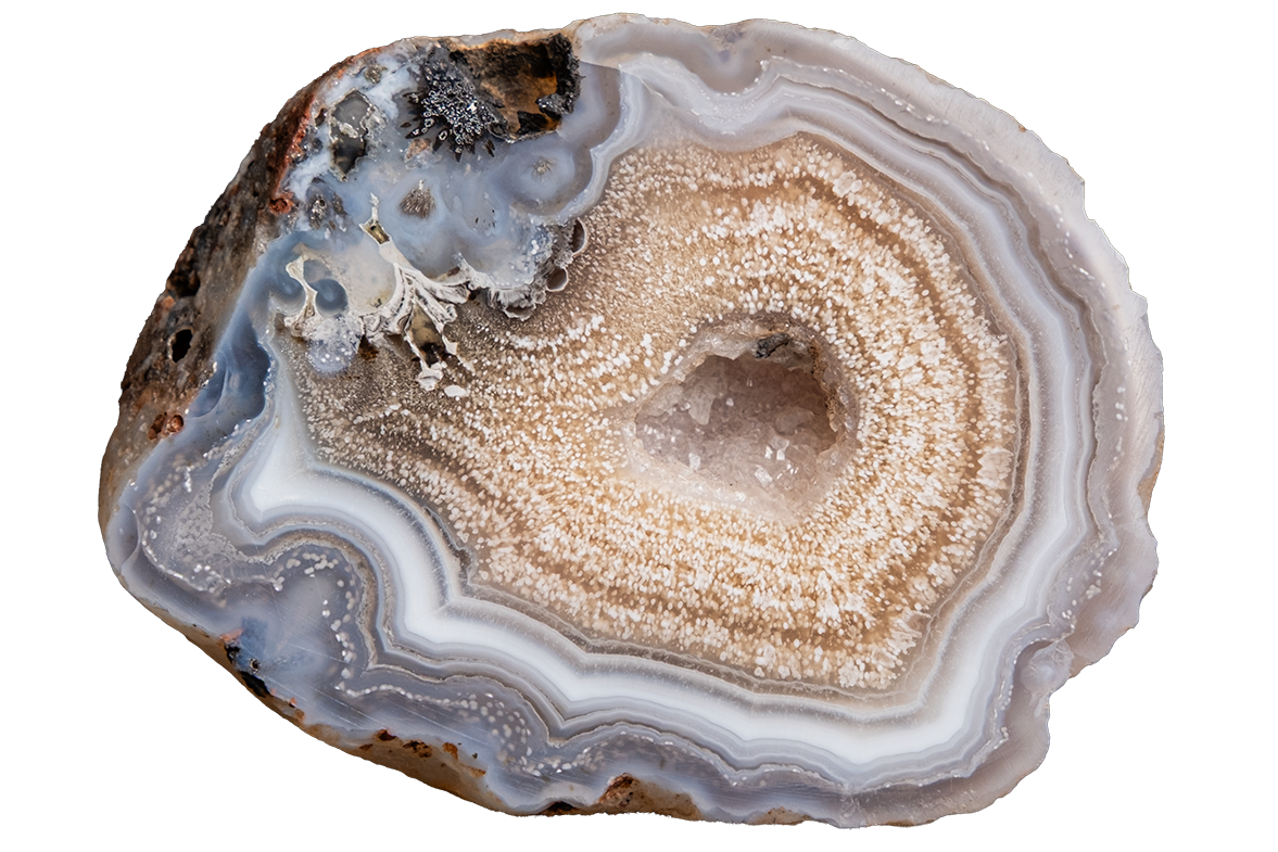 A polished parclea agate showcasing concentric bands of cream, beige, gray, and blue, set against a solid white background.