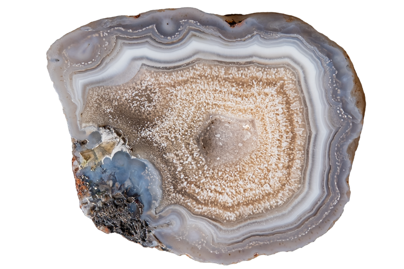 A polished cross-section of agate or geode stone with concentric bands of gray, white, tan, and a small blue-gray crystalline area, isolated on a white background.