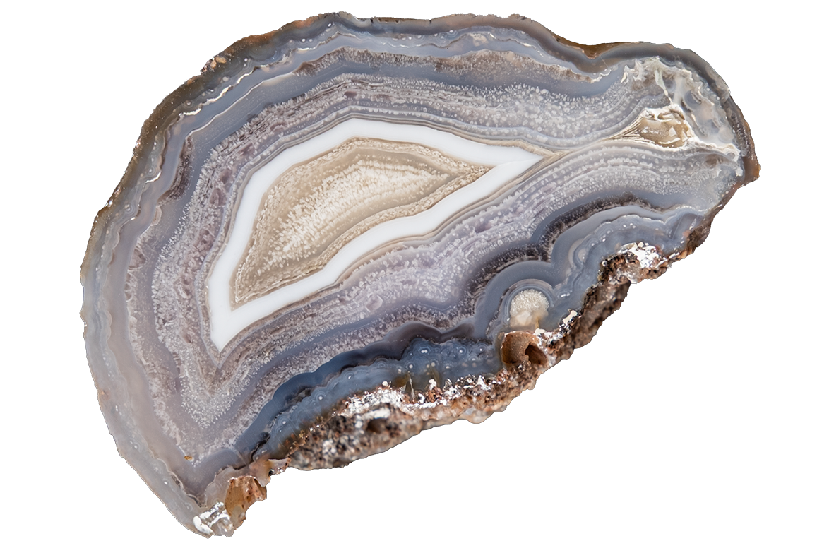 A polished slice of agate or banded stone with concentric layers in gray, blue-gray, white, tan, and brown, shown on a plain white background.
