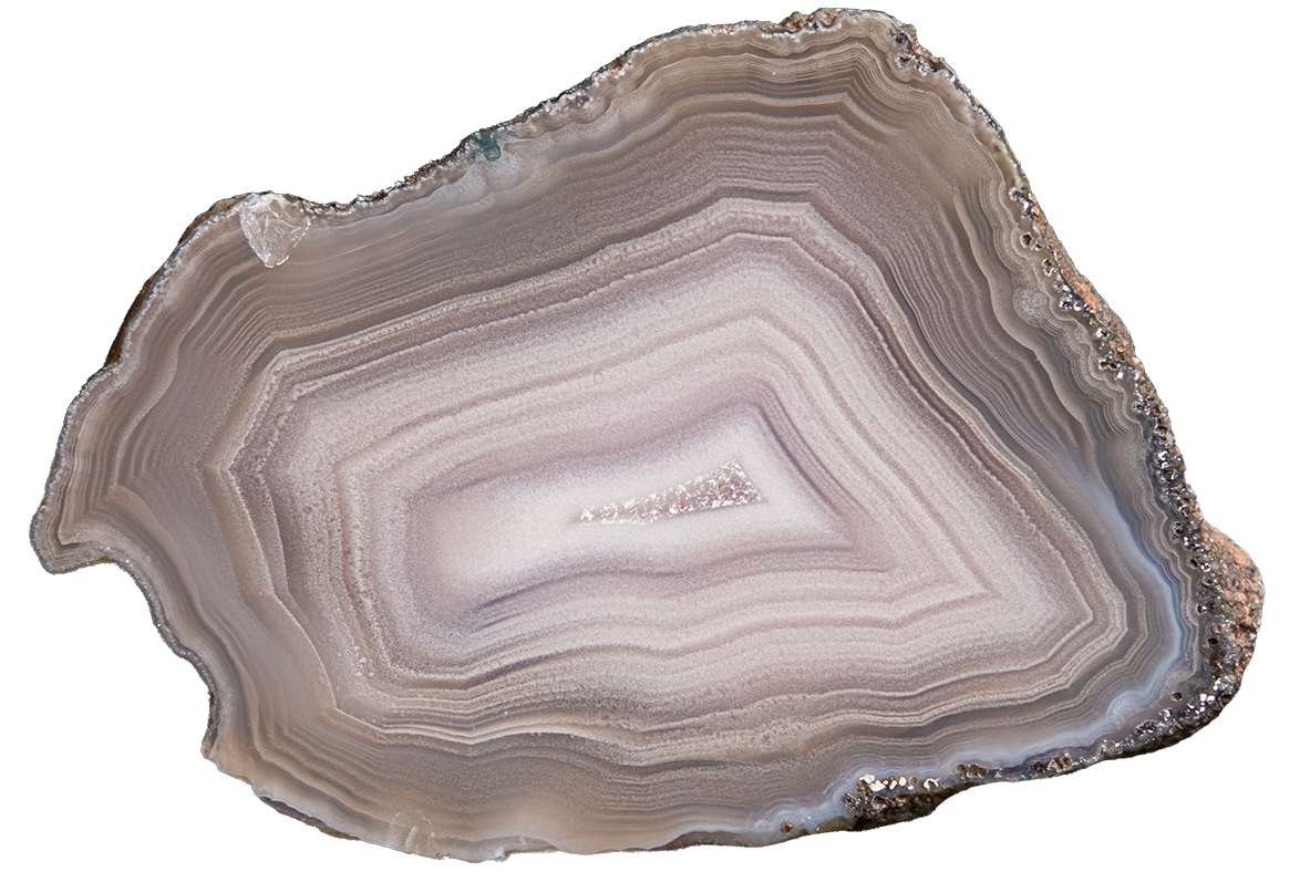 A polished slice of agate stone with concentric banding in shades of taupe, beige, gray, and soft lavender, isolated on a solid white background.