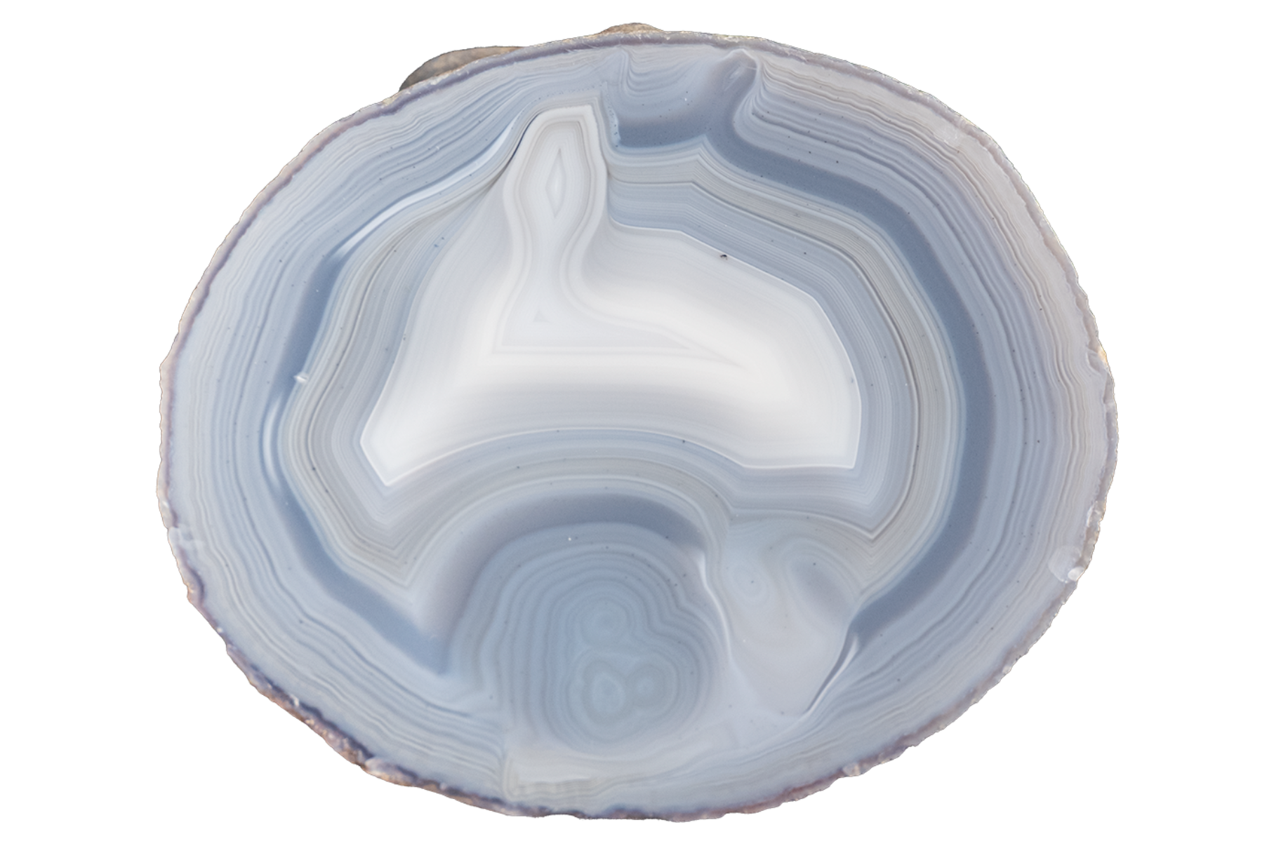 A polished slice of agate stone with concentric bands of white, light blue, and gray, photographed on a solid white background.