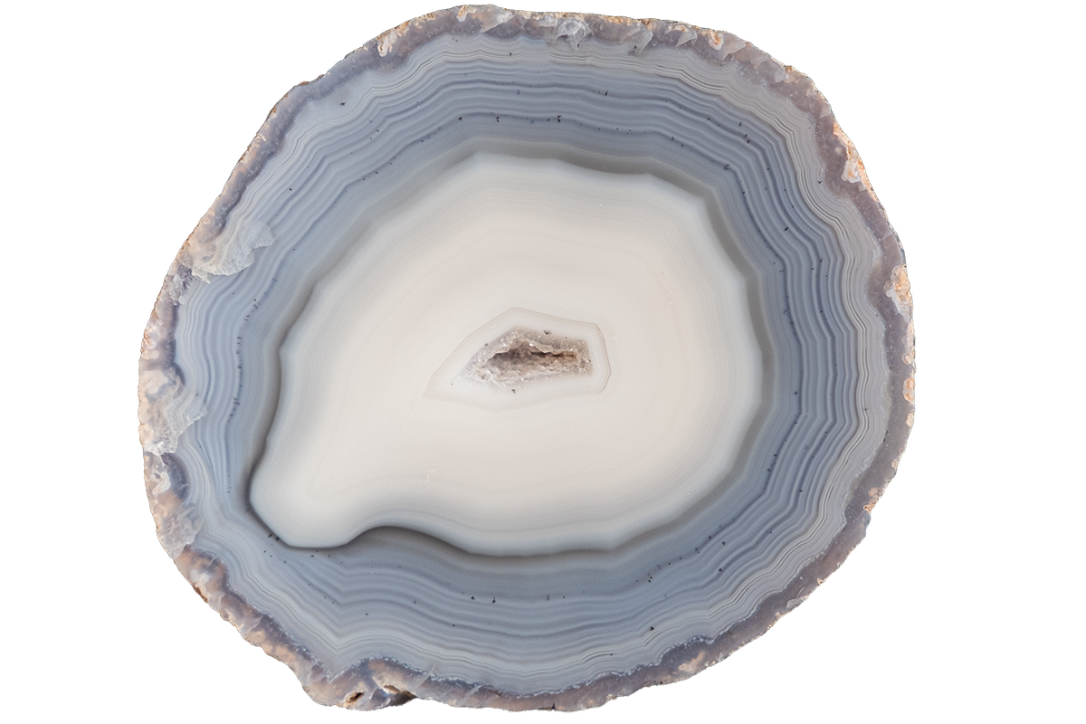 A polished slice of agate stone featuring concentric bands of light blue, gray, white, and a small brown core, isolated on a solid white background.