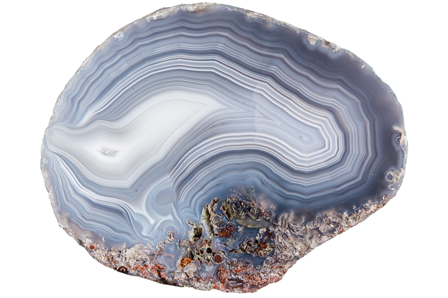 A polished slice of agate stone with concentric bands of white, light blue, and gray, with a rough, earthy textured base showing hints of brown and copper.