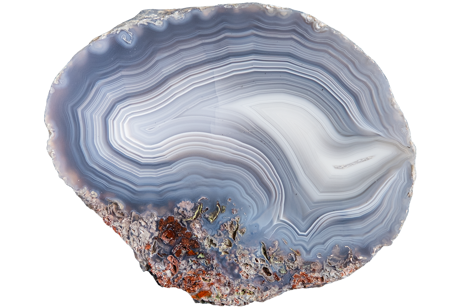 A polished slice of agate stone with concentric banding in shades of blue, gray, white, and rust-brown, isolated on a solid white background.