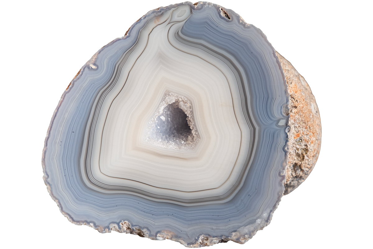 A polished slice of agate geode showing concentric bands of light blue, gray, cream, and white, with a darker central cavity and rough tan matrix visible on the right edge, isolated on a white background.