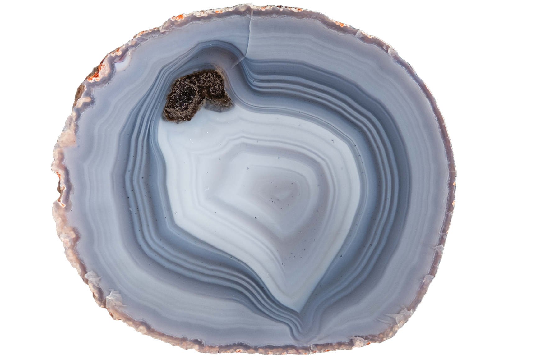 A polished slice of agate stone with concentric bands of light blue, gray, and white, featuring a natural rough edge and a small dark brown inclusions area near the upper left, isolated on a white background.