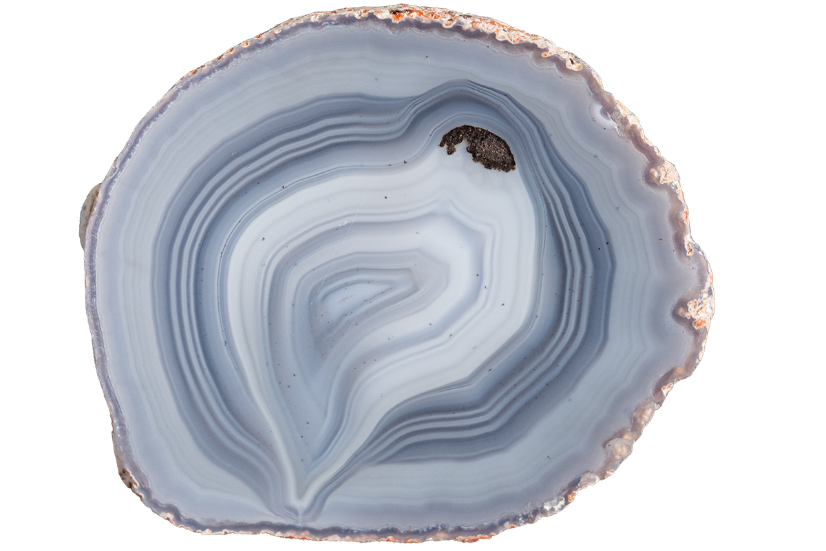 A polished slice of agate or jasper stone with concentric bands of pale blue, lavender, white, and gray, with a rough coppery-brown outer edge, shown on a plain white background.
