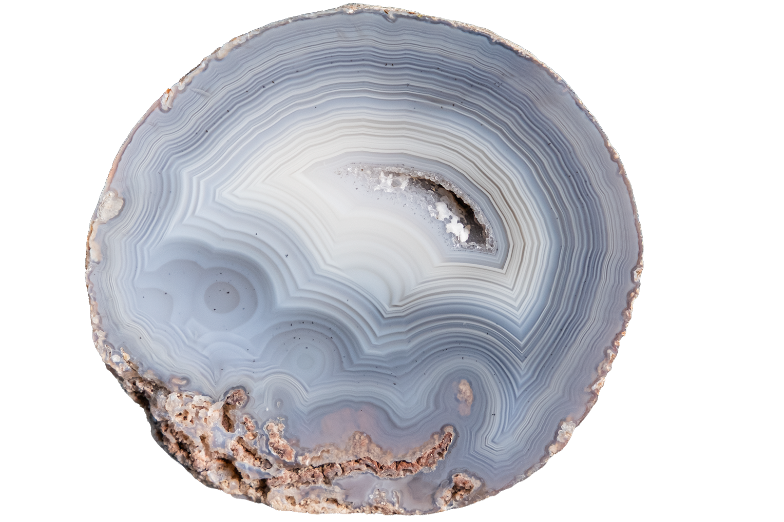 A polished slice of agate stone with concentric bands of light blue, white, gray, and brown, isolated on a solid white background.
