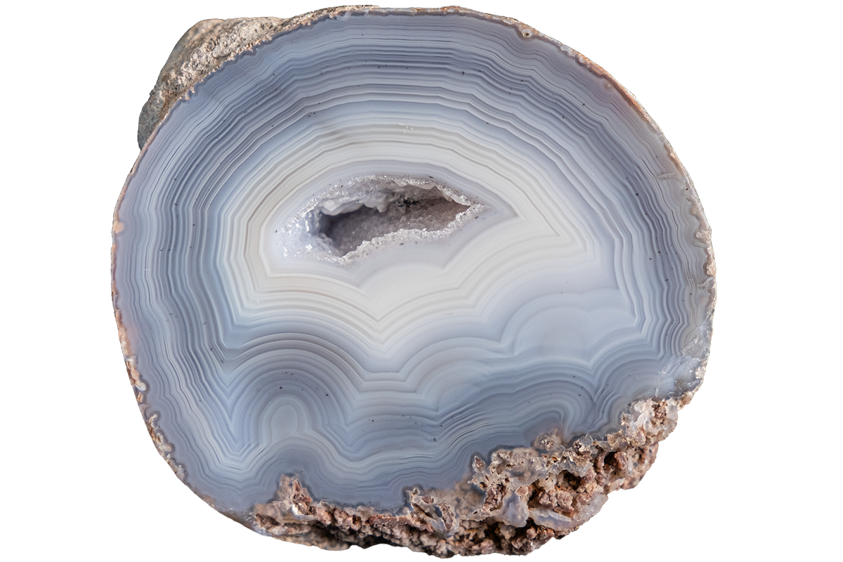 A polished cross-section of a banded agate geode showing concentric layers of light blue, gray, and white, with a rough brown matrix border, isolated on a white background.