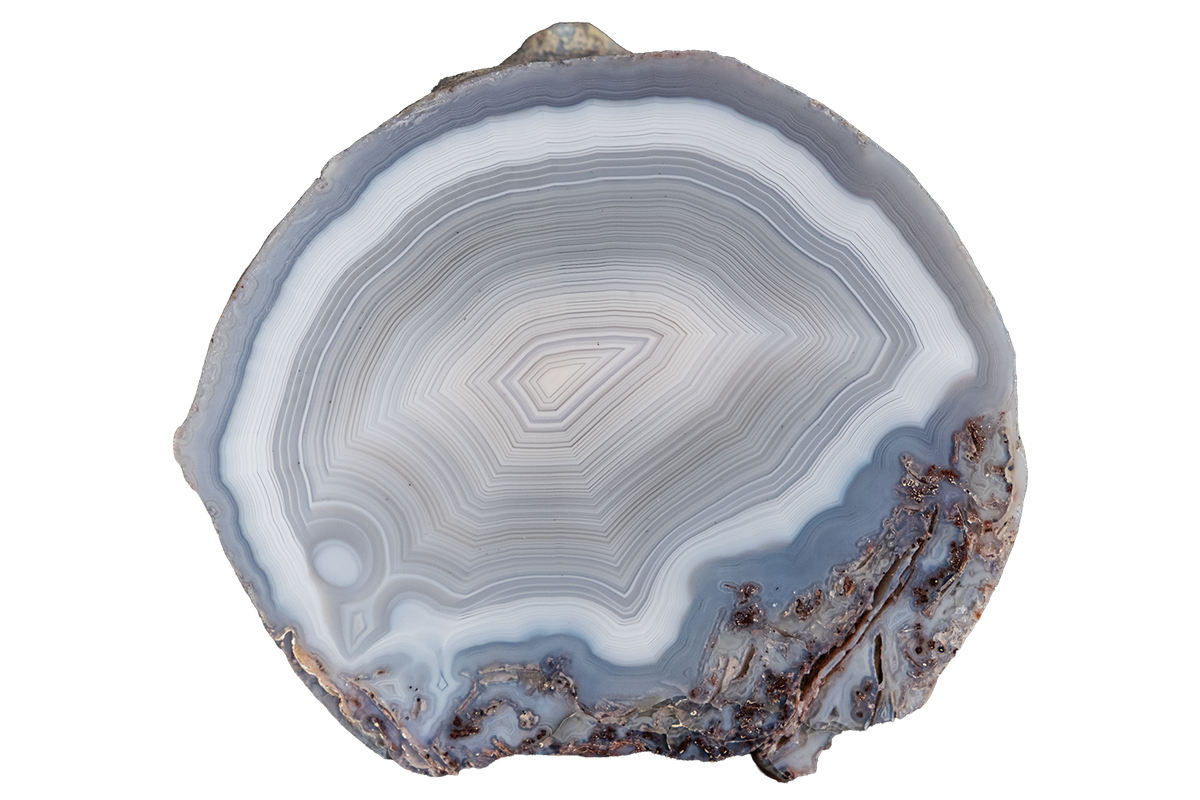 A polished cross-section of agate or jasper stone showing concentric banding in white, light gray, and pale blue-gray, with a rougher natural brown base around the edge, isolated on a white background.
