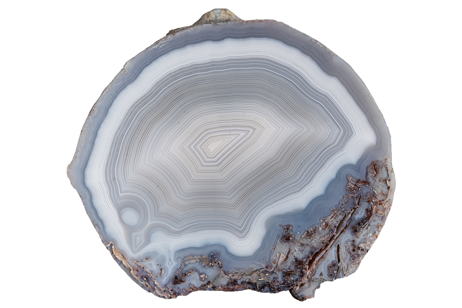 A polished cross-section of agate or jasper stone showing concentric banding in white, light gray, and pale blue-gray, with a rougher natural brown base around the edge, isolated on a white background.