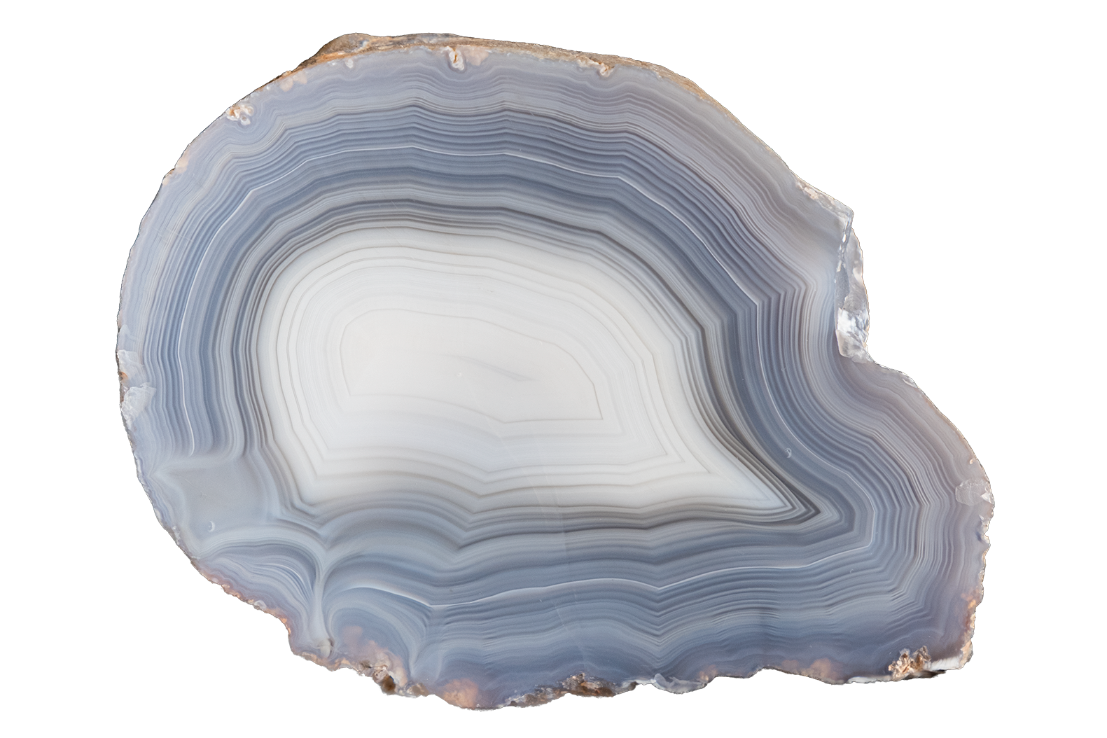 A polished slice of agate stone with concentric bands of white, light blue, and gray, with natural rough edges showing hints of brown, isolated on a white background.