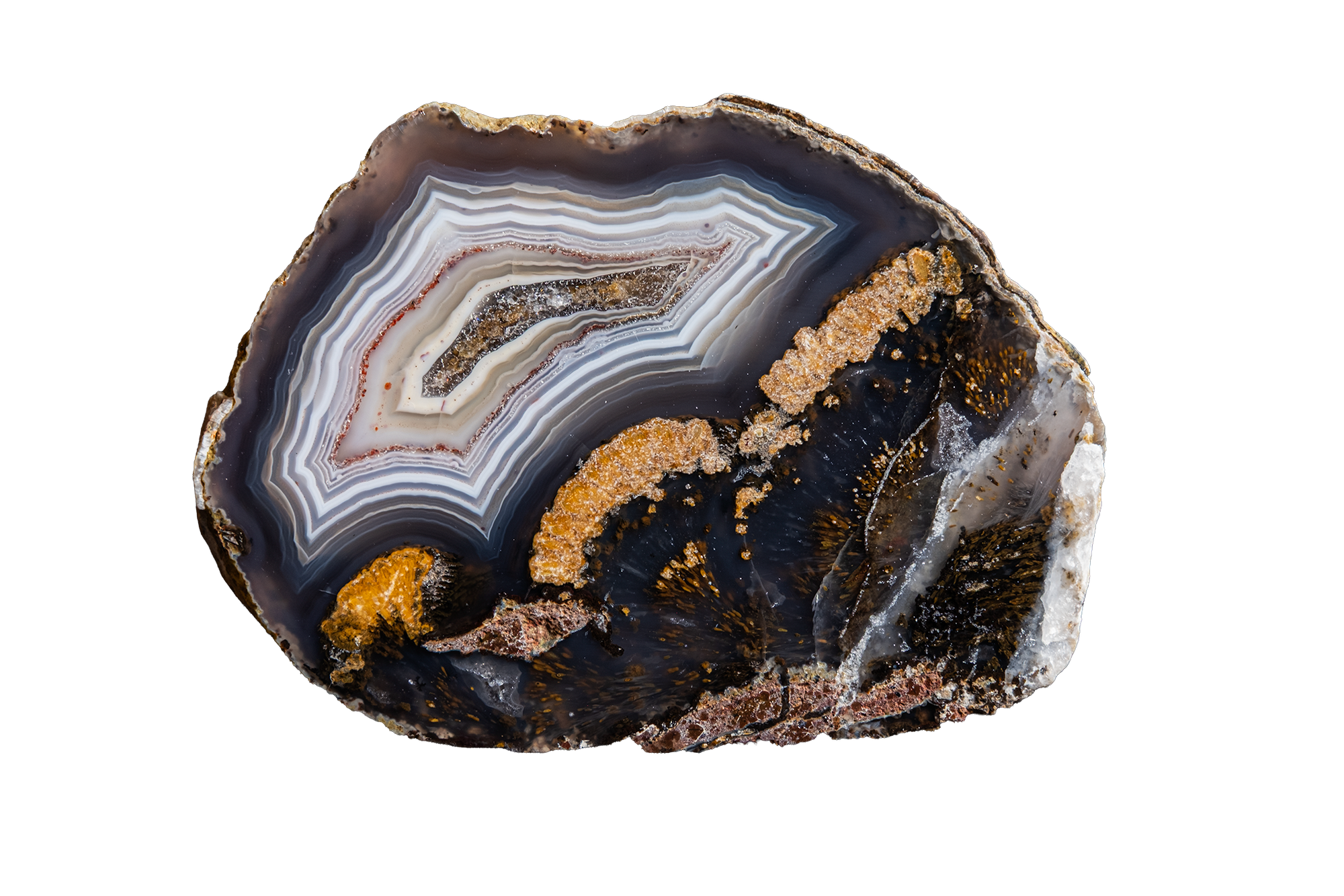 STMB01-01b | SANTA MONICA AGATE