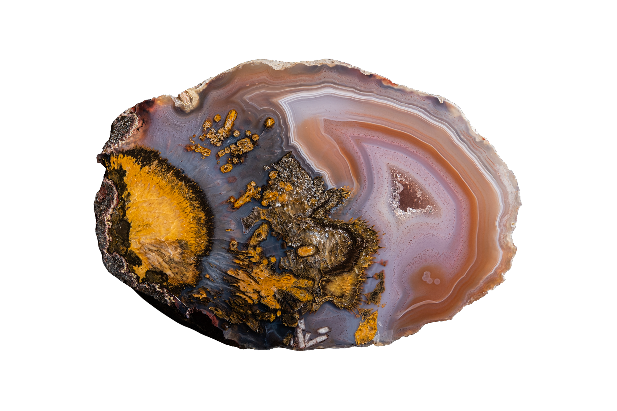 STMB01-02a | SANTA MONICA AGATE
