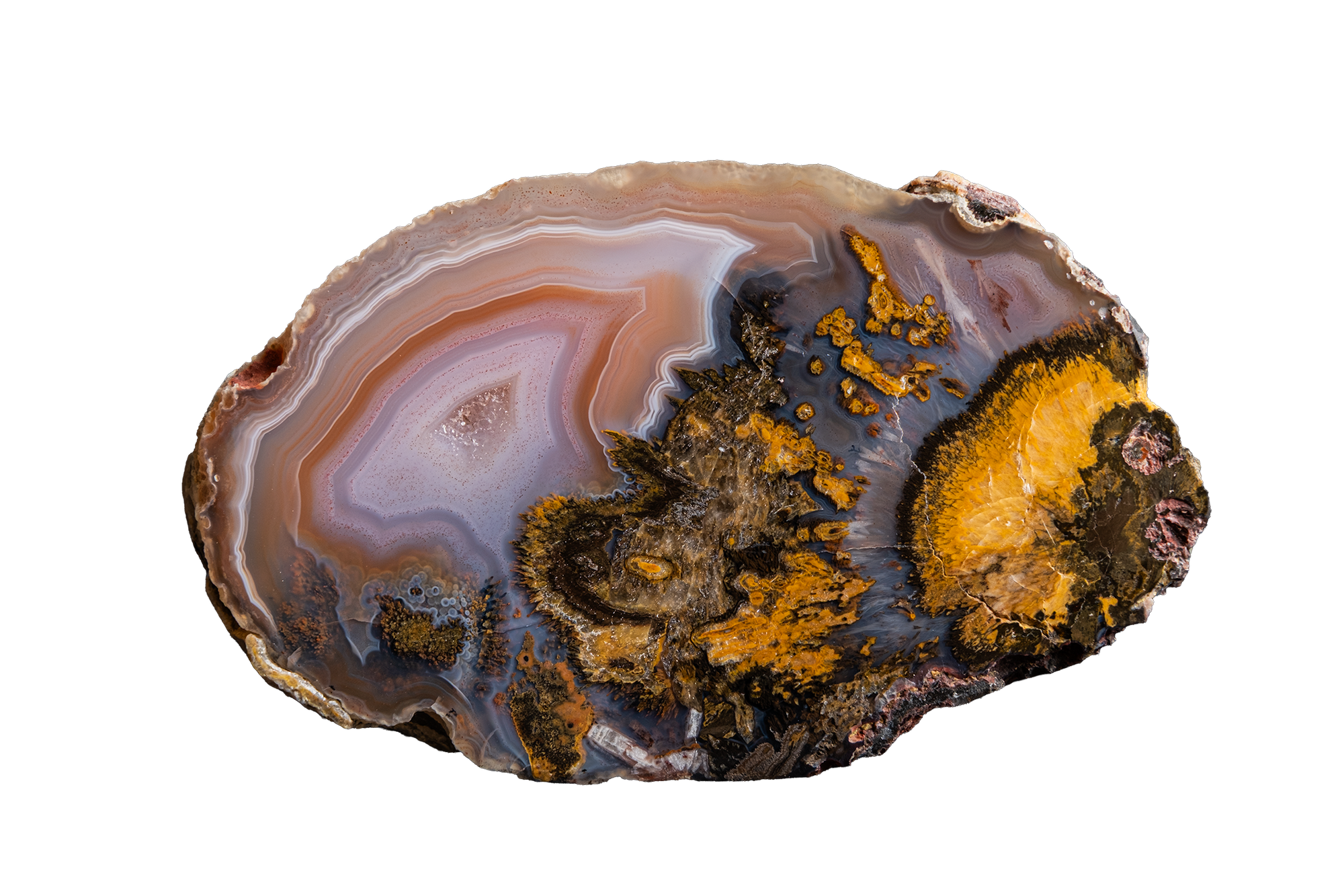 STMB01-02b | SANTA MONICA AGATE