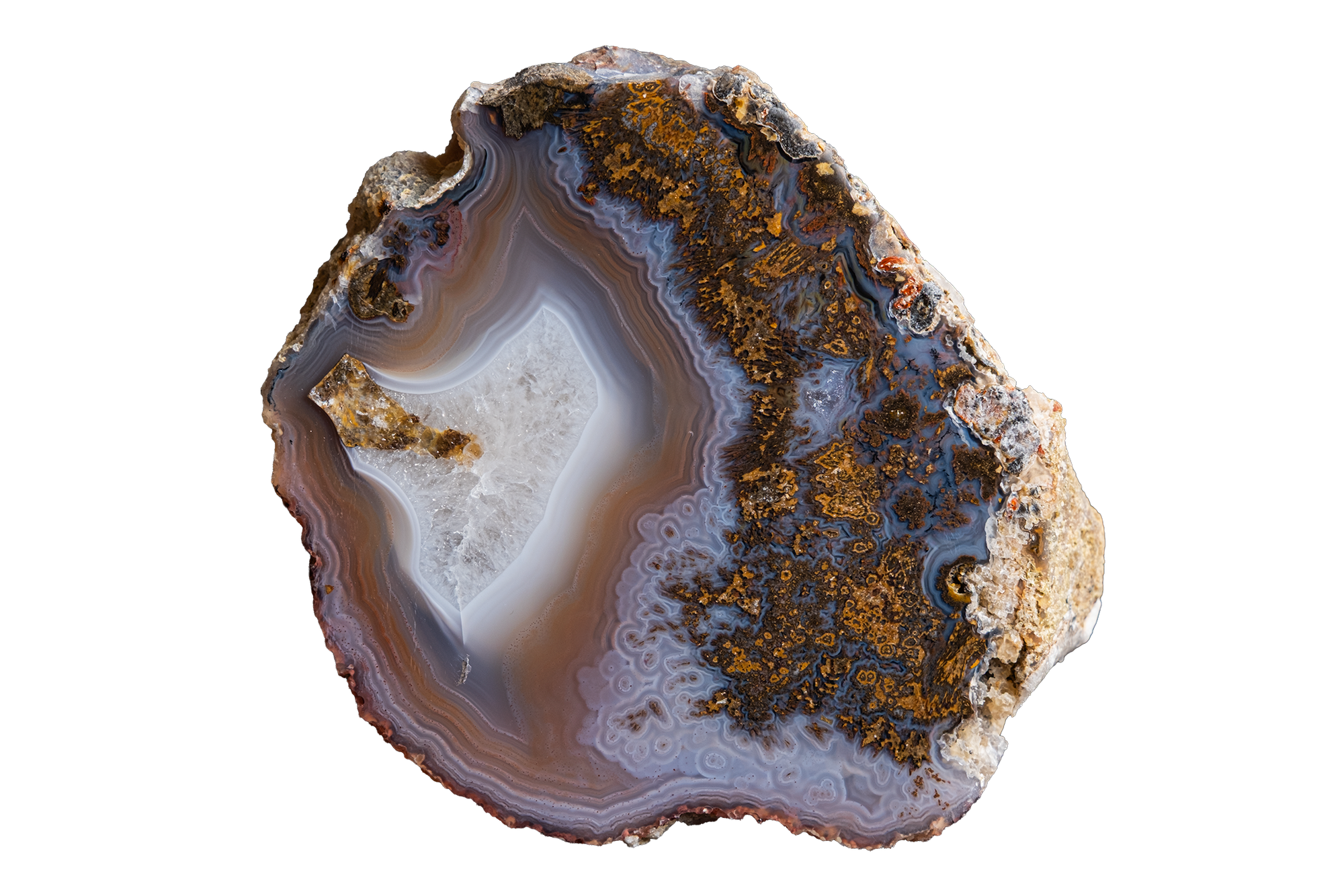 STMB01-04b | SANTA MONICA AGATE