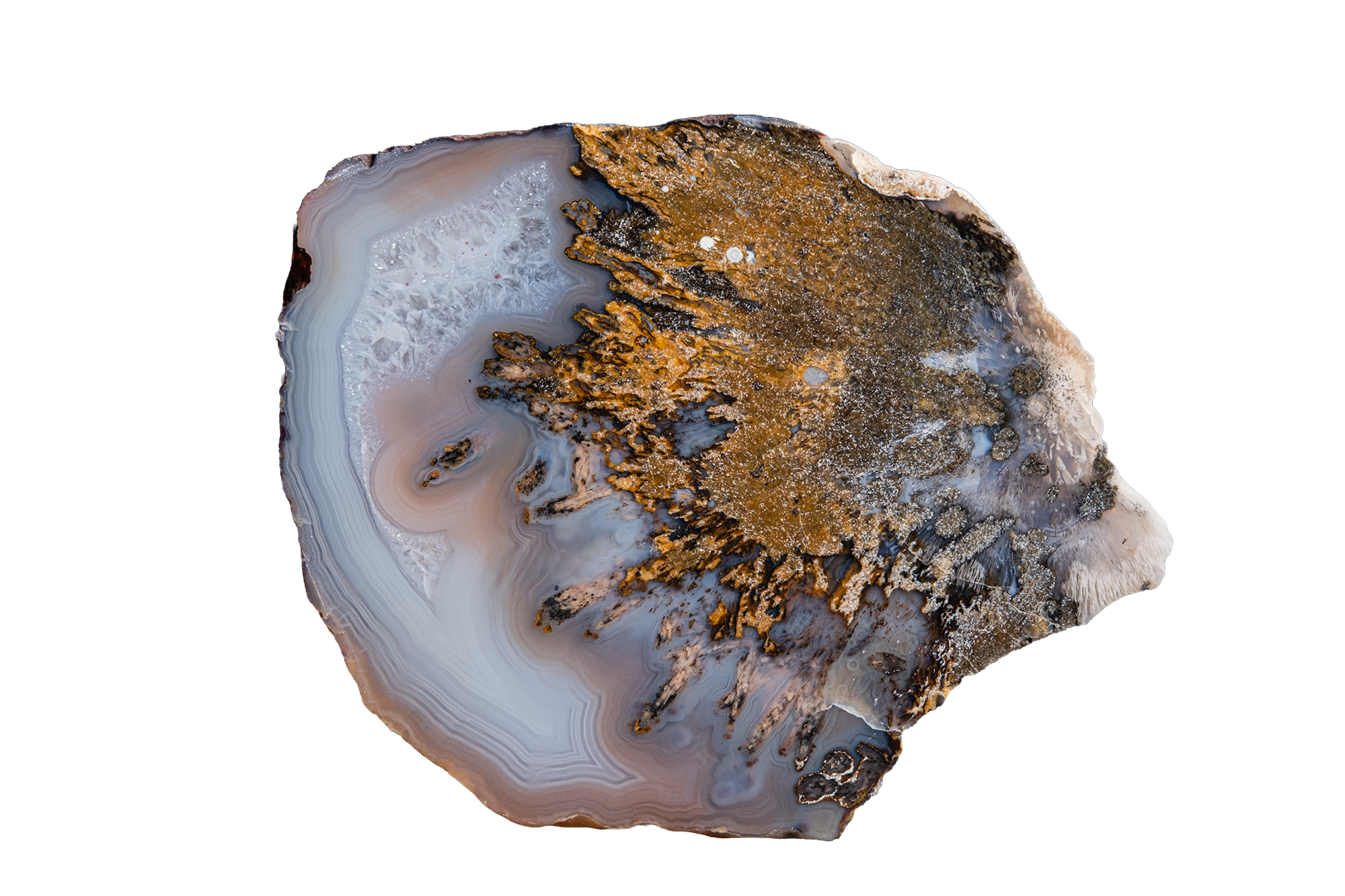 STMB01-06a | SANTA MONICA AGATE