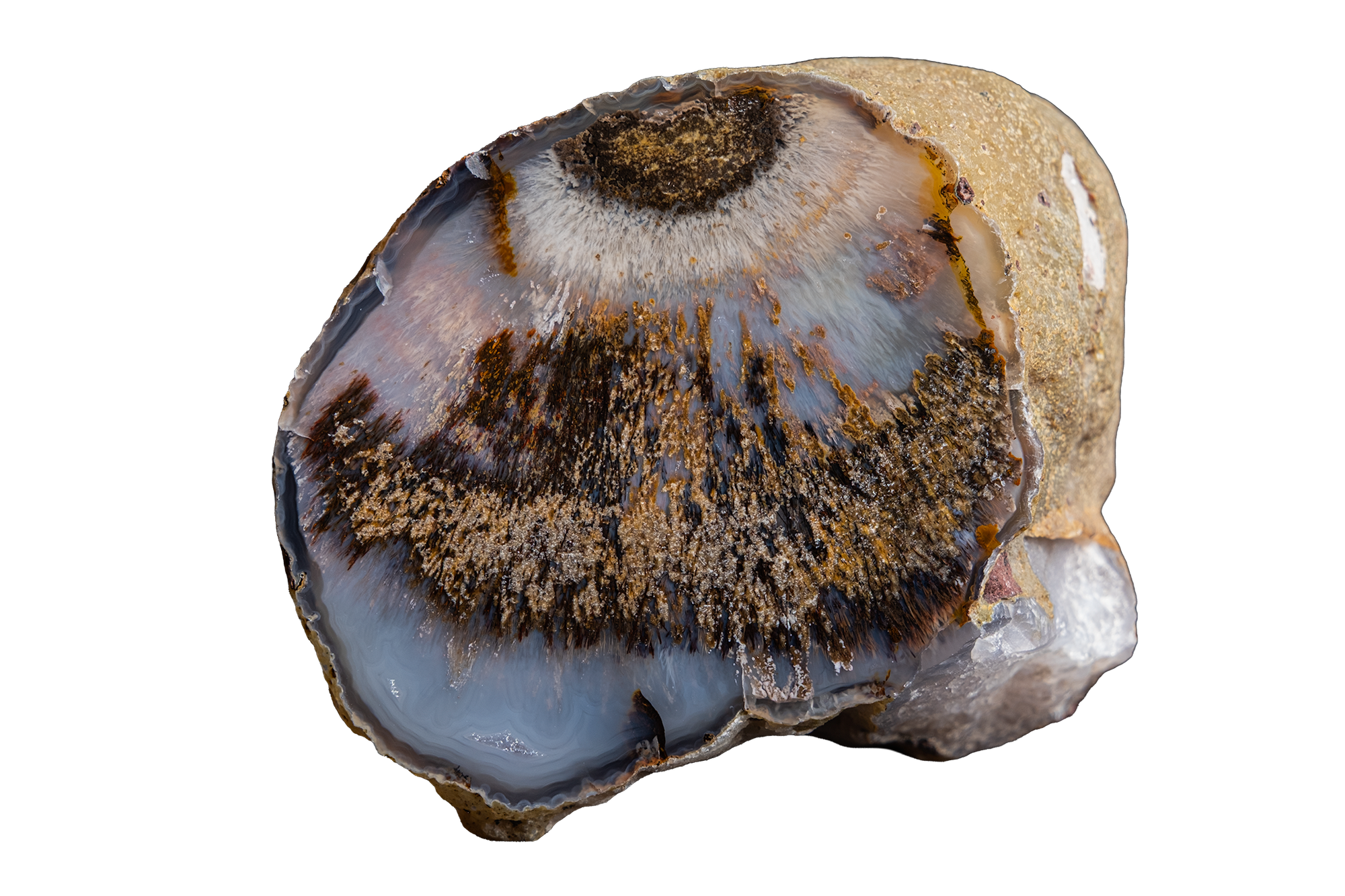 STMB01-06b | SANTA MONICA AGATE