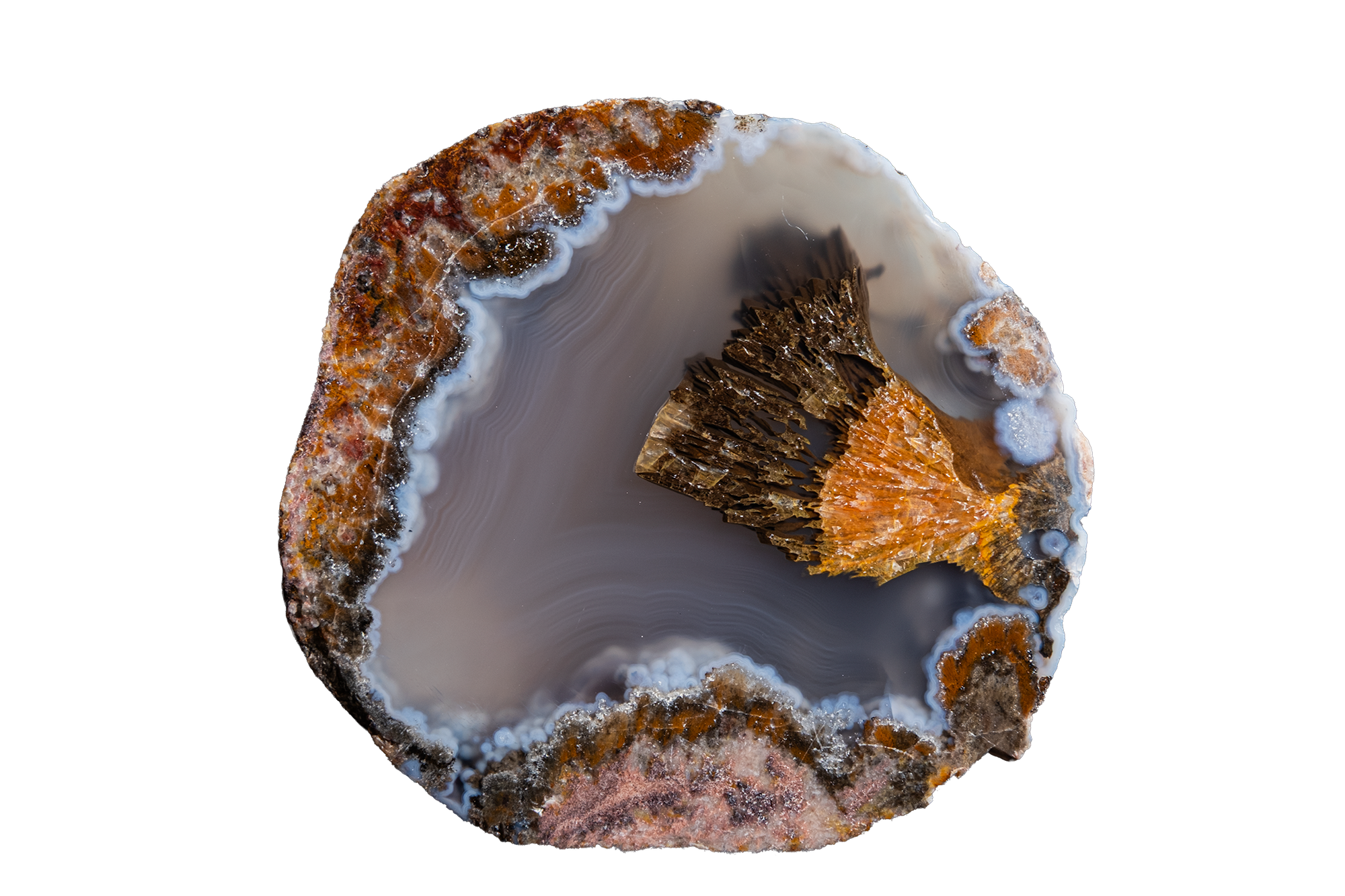 STMB01-08b | SANTA MONICA AGATE
