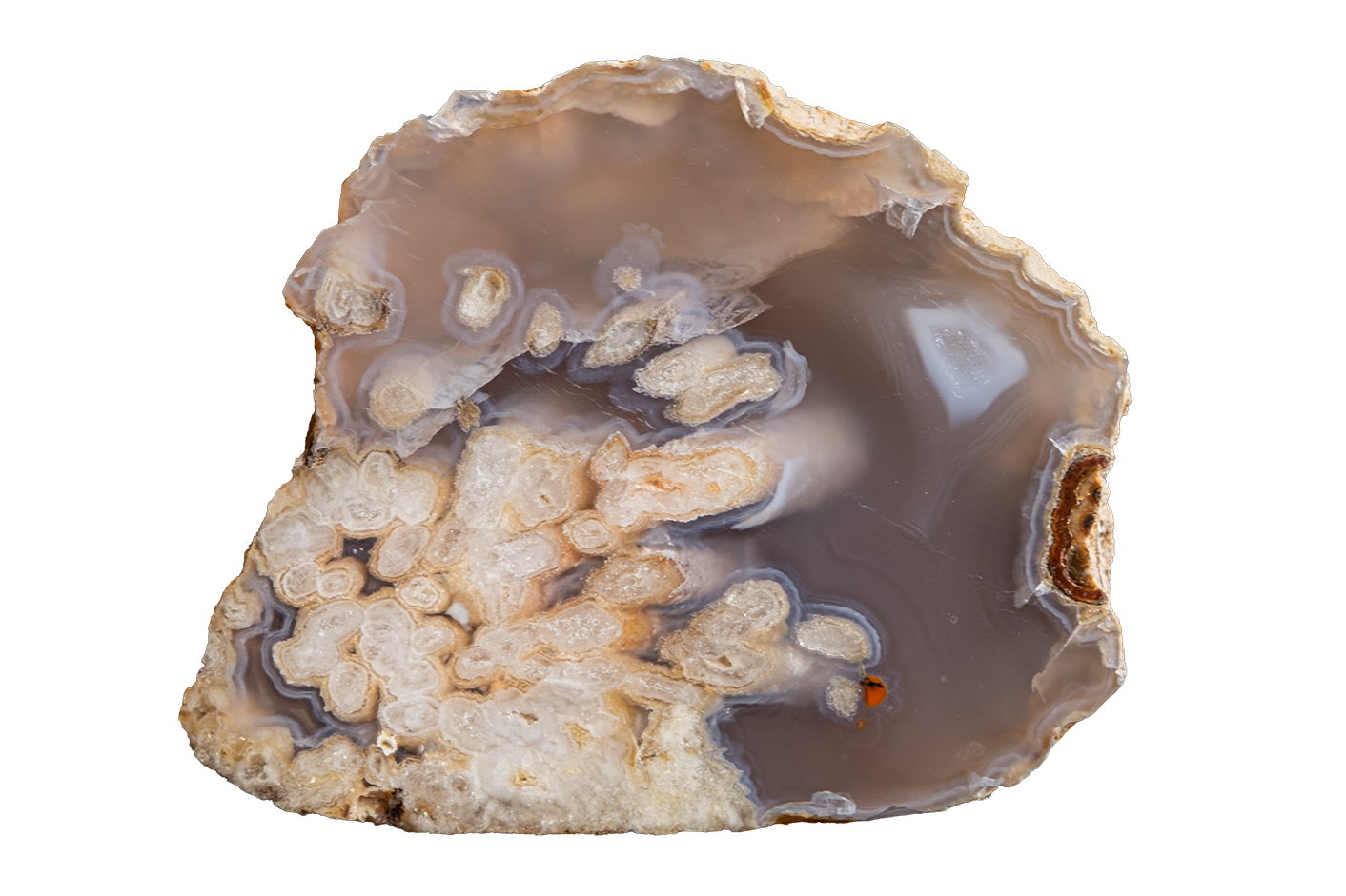 STMB01-10b | SANTA MONICA AGATE