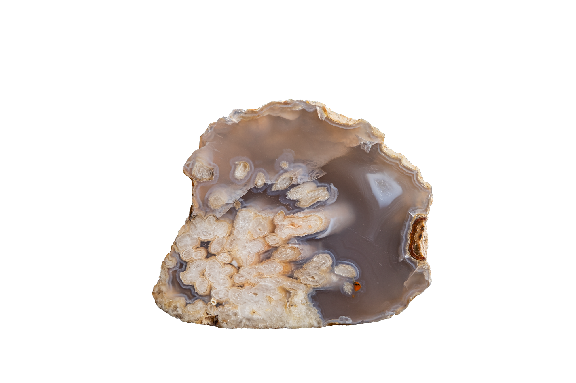 STMB01-10b | SANTA MONICA AGATE