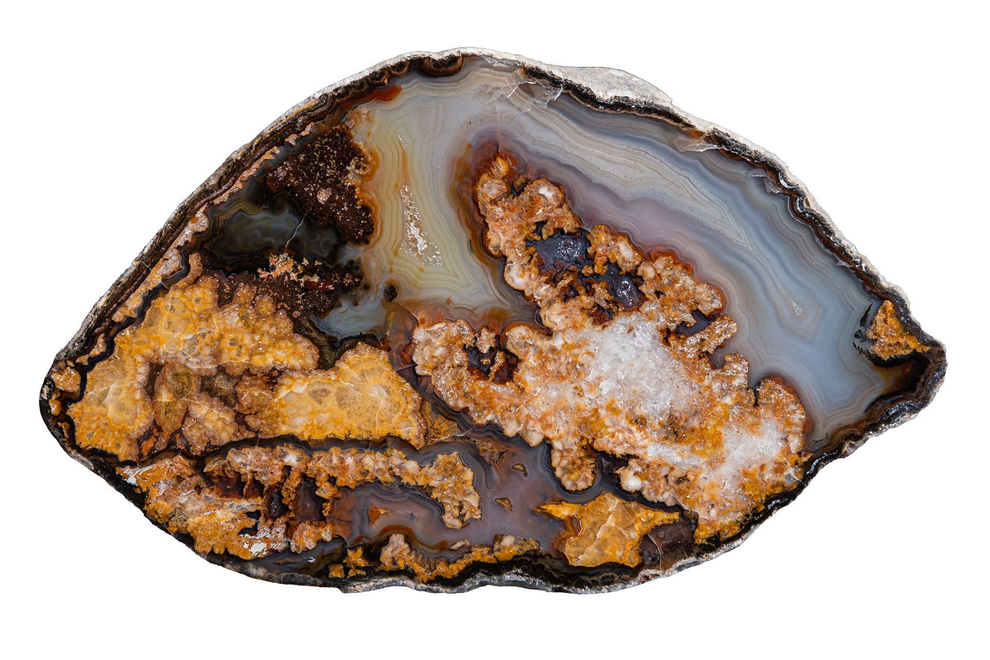 A polished agate geode slice with vibrant bands of gray, white, and brown agate, surrounded by prominent golden-orange and brown crystalline formations, isolated on a white background.