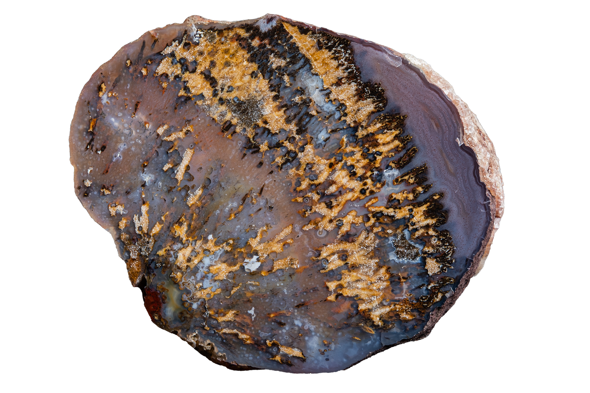 STMB01-12a | SANTA MONICA AGATE