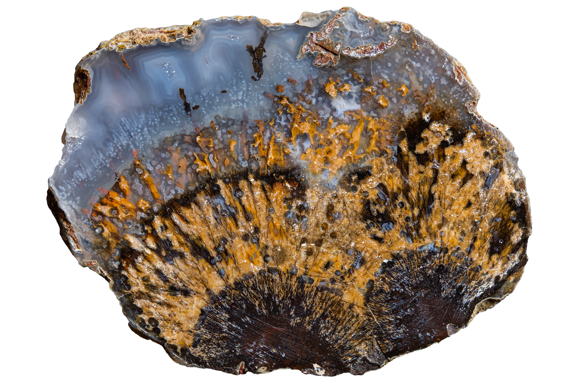 STMB01-12b | SANTA MONICA AGATE